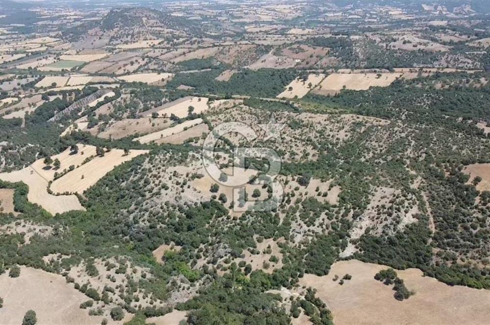 ÇANAKKALE AYVACIK SAPANCA KÖYÜ SATILIK TEK TAPU 84.922 M2 TARLA