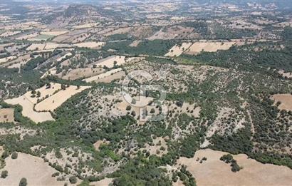 ÇANAKKALE AYVACIK SAPANCA KÖYÜ SATILIK TEK TAPU 84.922 M2 TARLA