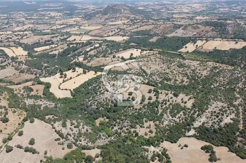 ÇANAKKALE AYVACIK SAPANCA KÖYÜ SATILIK TEK TAPU 84.922 M2 TARLA