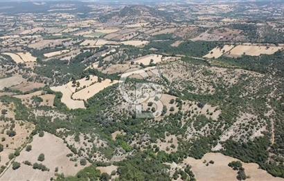 ÇANAKKALE AYVACIK SAPANCA KÖYÜ SATILIK TEK TAPU 84.922 M2 TARLA
