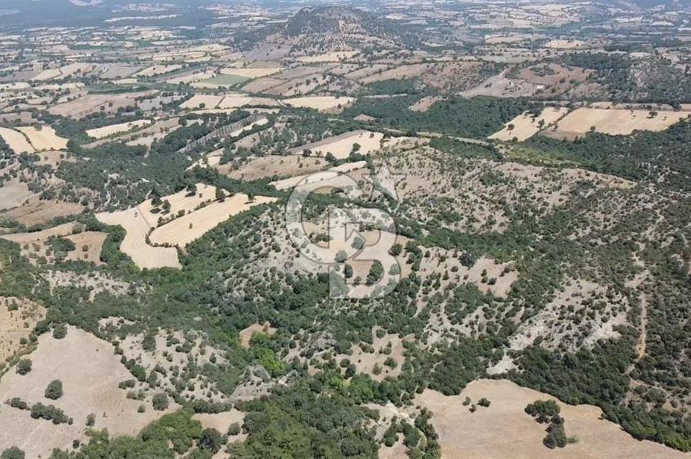 ÇANAKKALE AYVACIK SAPANCA KÖYÜ SATILIK TEK TAPU 84.922 M2 TARLA