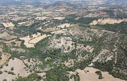 ÇANAKKALE AYVACIK SAPANCA KÖYÜ SATILIK TEK TAPU 84.922 M2 TARLA