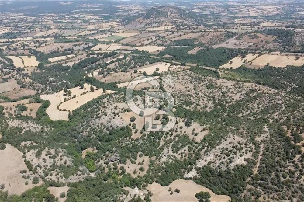 ÇANAKKALE AYVACIK SAPANCA KÖYÜ SATILIK TEK TAPU 84.922 M2 TARLA