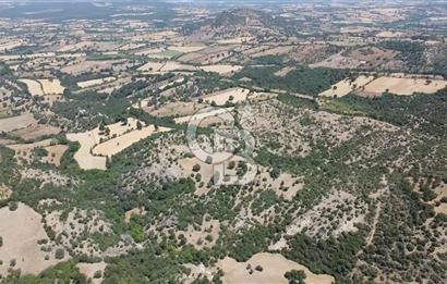 ÇANAKKALE AYVACIK SAPANCA KÖYÜ SATILIK TEK TAPU 84.922 M2 TARLA