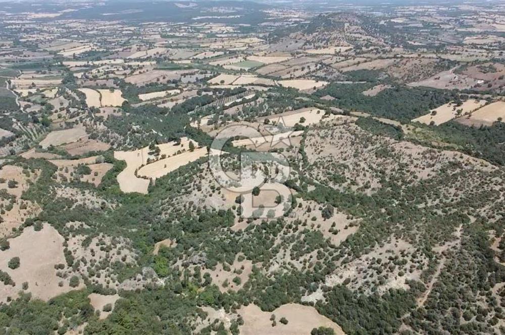 ÇANAKKALE AYVACIK SAPANCA KÖYÜ SATILIK TEK TAPU 84.922 M2 TARLA