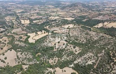 ÇANAKKALE AYVACIK SAPANCA KÖYÜ SATILIK TEK TAPU 84.922 M2 TARLA