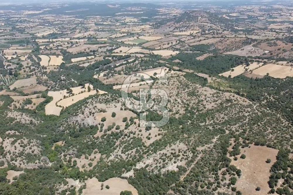 ÇANAKKALE AYVACIK SAPANCA KÖYÜ SATILIK TEK TAPU 84.922 M2 TARLA
