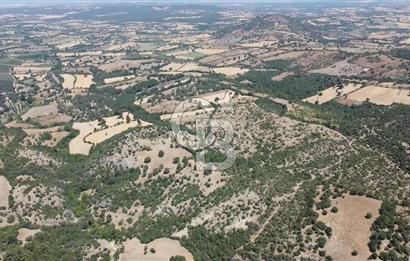 ÇANAKKALE AYVACIK SAPANCA KÖYÜ SATILIK TEK TAPU 84.922 M2 TARLA