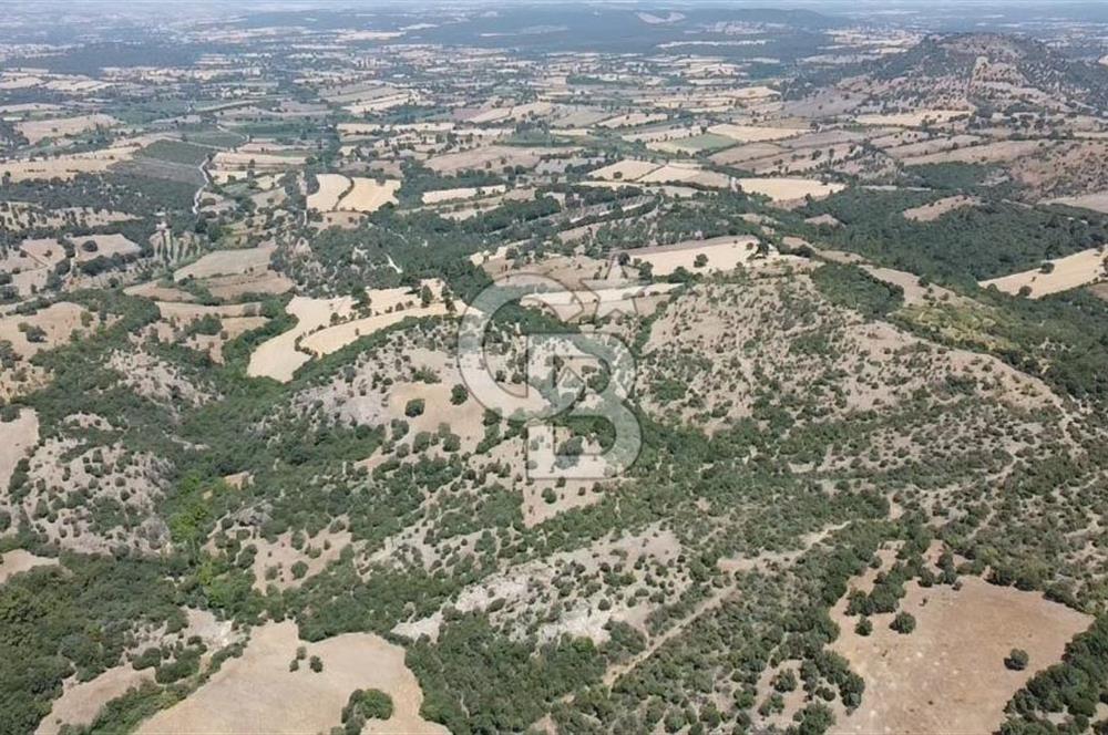 ÇANAKKALE AYVACIK SAPANCA KÖYÜ SATILIK TEK TAPU 84.922 M2 TARLA