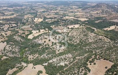 ÇANAKKALE AYVACIK SAPANCA KÖYÜ SATILIK TEK TAPU 84.922 M2 TARLA
