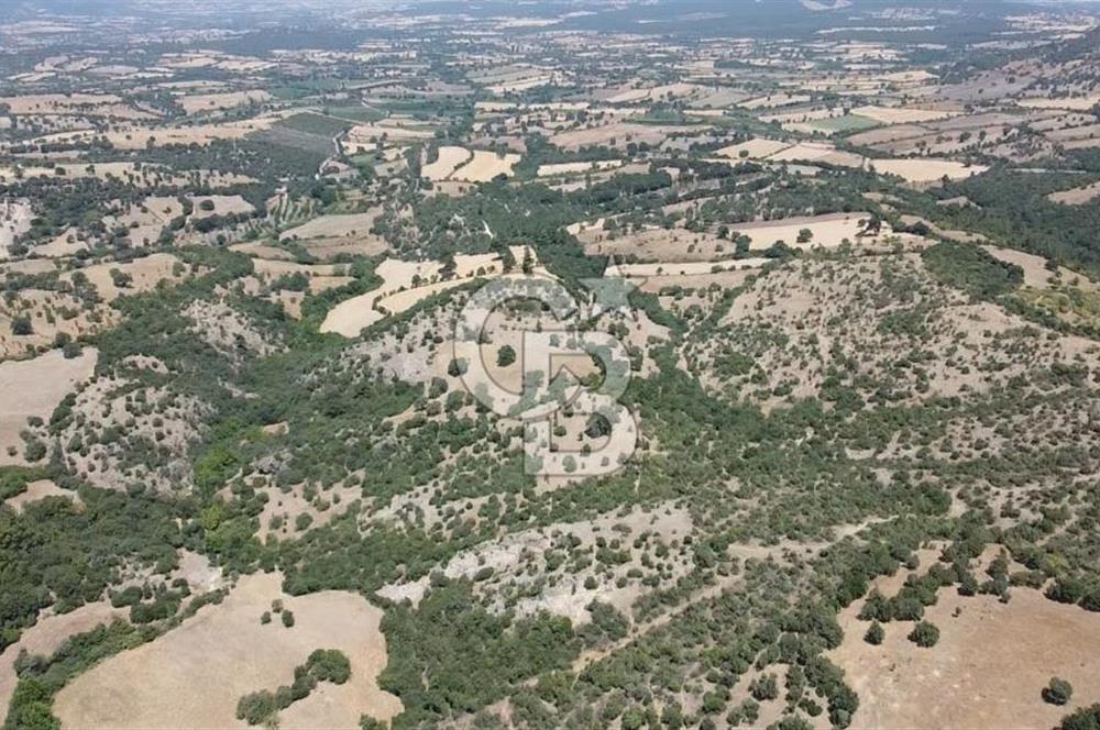 ÇANAKKALE AYVACIK SAPANCA KÖYÜ SATILIK TEK TAPU 84.922 M2 TARLA