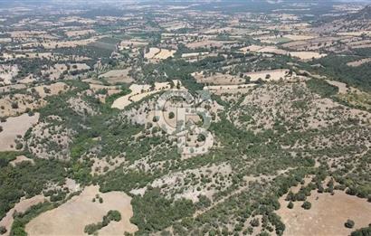 ÇANAKKALE AYVACIK SAPANCA KÖYÜ SATILIK TEK TAPU 84.922 M2 TARLA