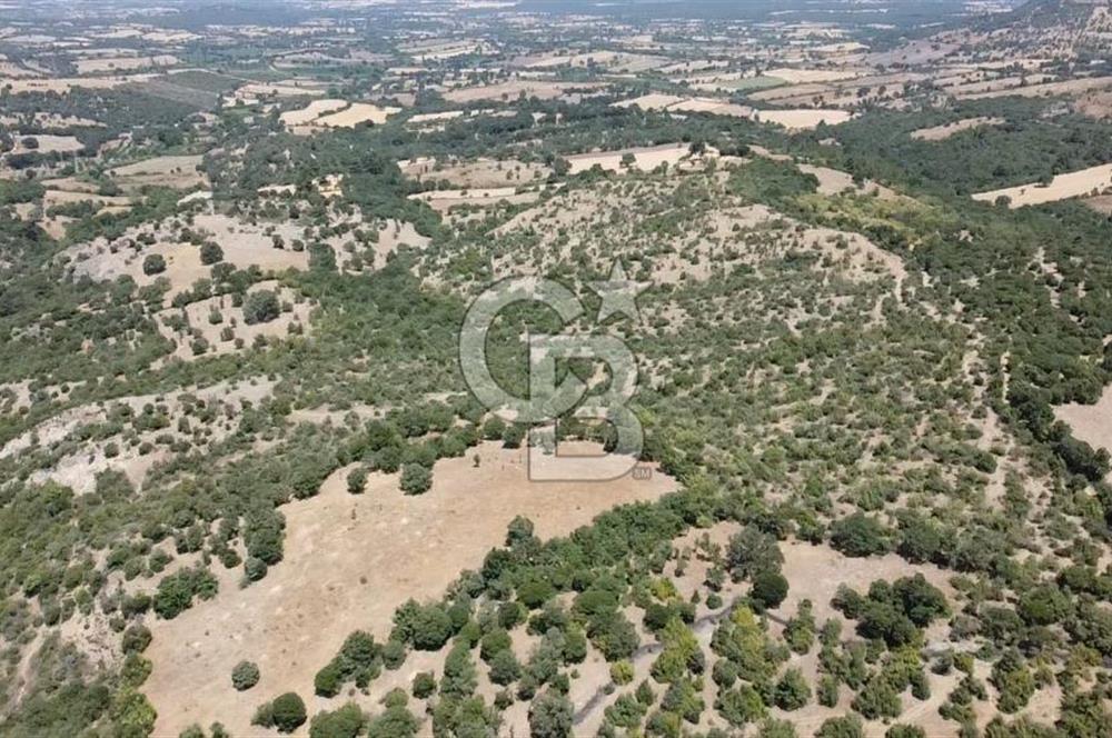 ÇANAKKALE AYVACIK SAPANCA KÖYÜ SATILIK TEK TAPU 84.922 M2 TARLA