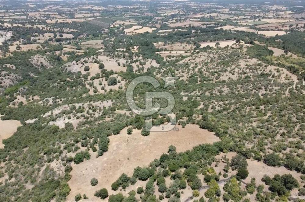 ÇANAKKALE AYVACIK SAPANCA KÖYÜ SATILIK TEK TAPU 84.922 M2 TARLA