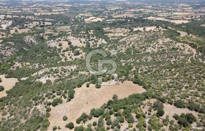 ÇANAKKALE AYVACIK SAPANCA KÖYÜ SATILIK TEK TAPU 84.922 M2 TARLA