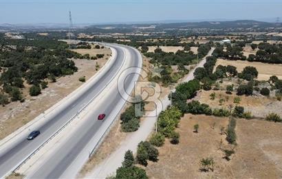 ÇANAKKALE AYVACIK SAPANCA İZMİR ASFALTI ÜZERİ SATILIK TARLA