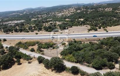 ÇANAKKALE AYVACIK SAPANCA İZMİR ASFALTI ÜZERİ SATILIK TARLA