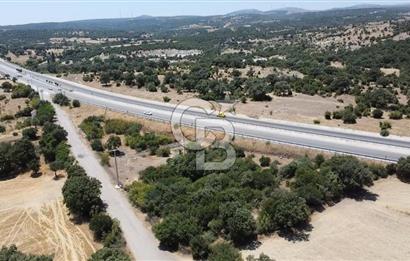 ÇANAKKALE AYVACIK SAPANCA İZMİR ASFALTI ÜZERİ SATILIK TARLA