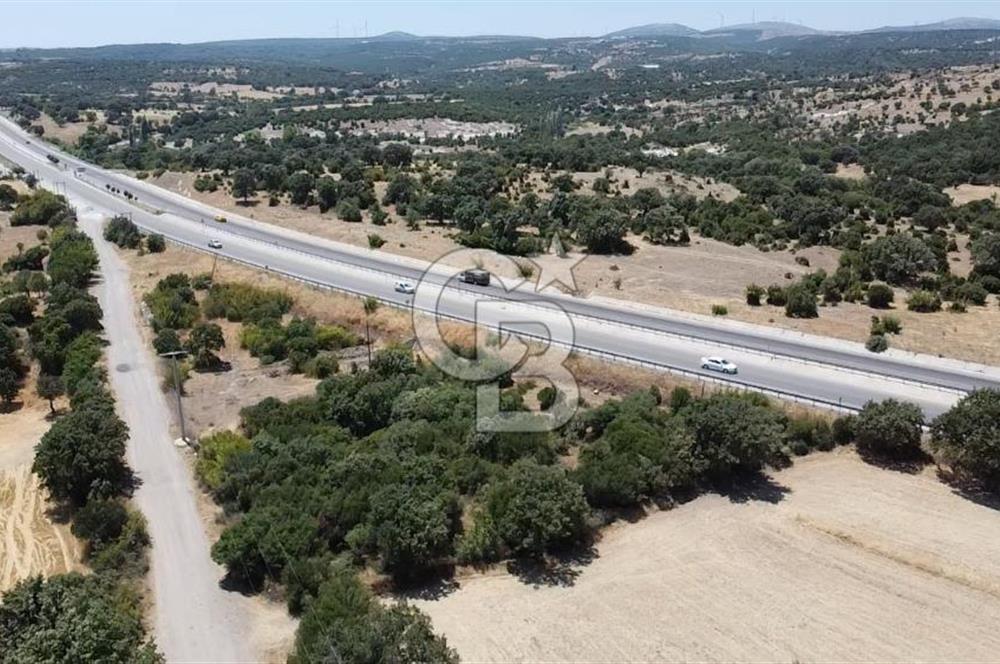 ÇANAKKALE AYVACIK SAPANCA İZMİR ASFALTI ÜZERİ SATILIK TARLA
