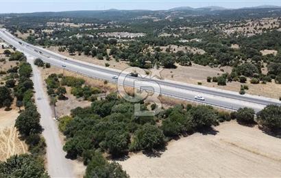 ÇANAKKALE AYVACIK SAPANCA İZMİR ASFALTI ÜZERİ SATILIK TARLA