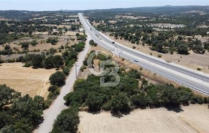 ÇANAKKALE AYVACIK SAPANCA İZMİR ASFALTI ÜZERİ SATILIK TARLA