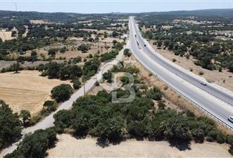 ÇANAKKALE AYVACIK SAPANCA İZMİR ASFALTI ÜZERİ SATILIK TARLA