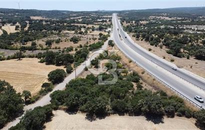 ÇANAKKALE AYVACIK SAPANCA İZMİR ASFALTI ÜZERİ SATILIK TARLA