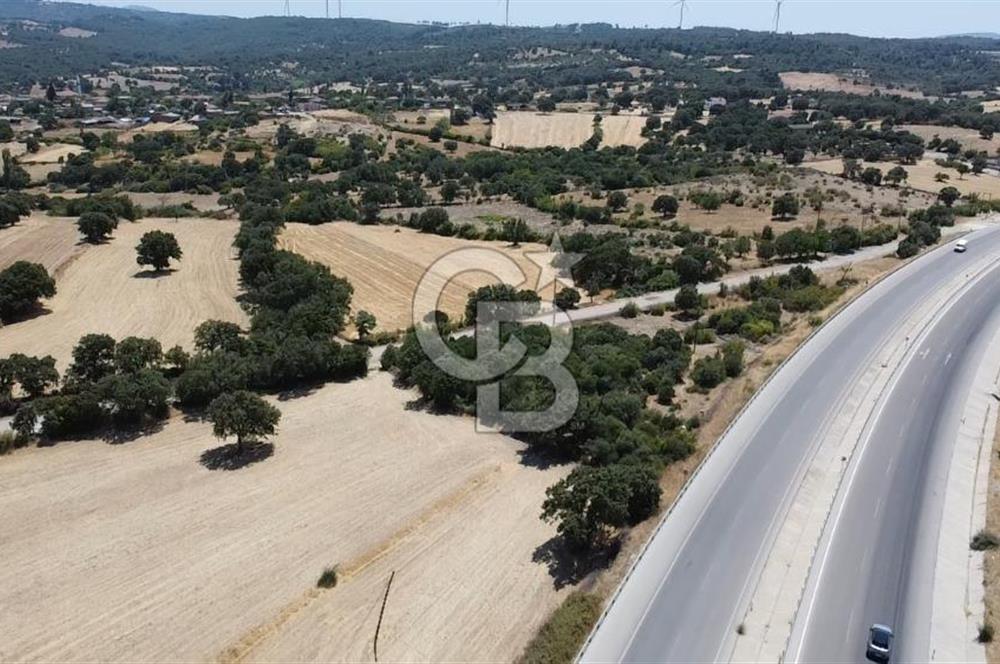 ÇANAKKALE AYVACIK SAPANCA İZMİR ASFALTI ÜZERİ SATILIK TARLA