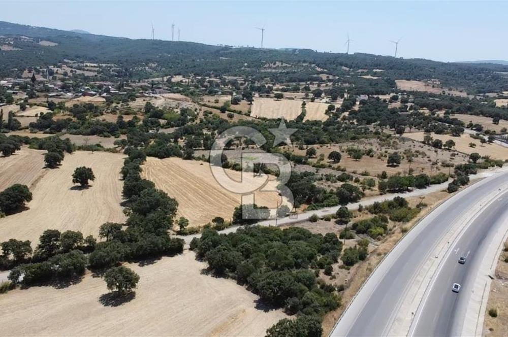 ÇANAKKALE AYVACIK SAPANCA İZMİR ASFALTI ÜZERİ SATILIK TARLA