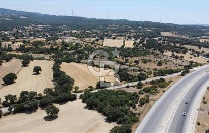 ÇANAKKALE AYVACIK SAPANCA İZMİR ASFALTI ÜZERİ SATILIK TARLA