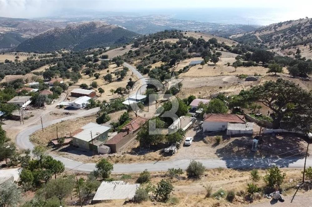 ACİL SATILIK AYVACIK KÖSEDERE'DE DENİZ MAZARALI KELEPİR ARSALAR