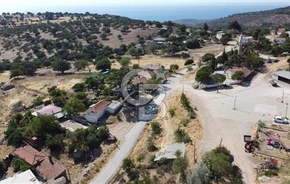 ACİL SATILIK AYVACIK KÖSEDERE'DE DENİZ MAZARALI KELEPİR ARSALAR
