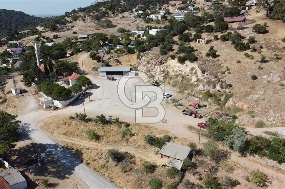 ACİL SATILIK AYVACIK KÖSEDERE'DE DENİZ MAZARALI KELEPİR ARSALAR