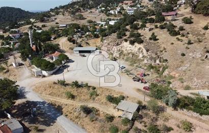 ACİL SATILIK AYVACIK KÖSEDERE'DE DENİZ MAZARALI KELEPİR ARSALAR