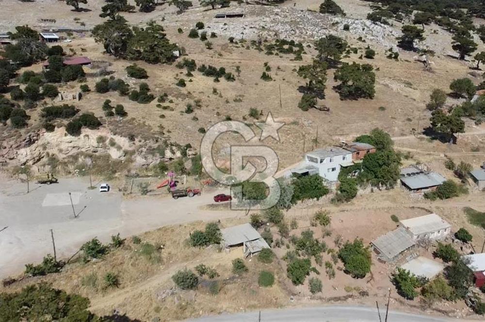 ACİL SATILIK AYVACIK KÖSEDERE'DE DENİZ MAZARALI KELEPİR ARSALAR