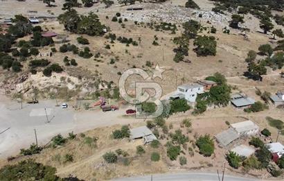 ACİL SATILIK AYVACIK KÖSEDERE'DE DENİZ MAZARALI KELEPİR ARSALAR