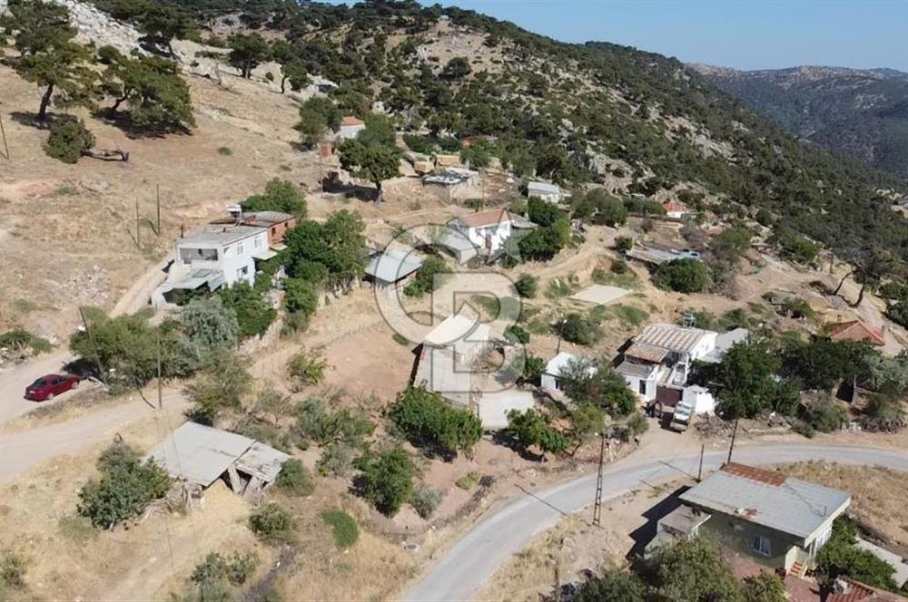 ACİL SATILIK AYVACIK KÖSEDERE'DE DENİZ MAZARALI KELEPİR ARSALAR