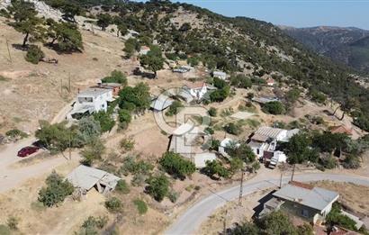 ACİL SATILIK AYVACIK KÖSEDERE'DE DENİZ MAZARALI KELEPİR ARSALAR