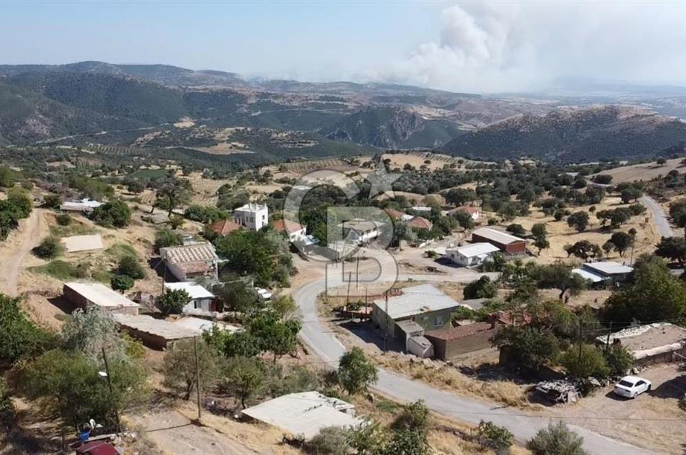 ACİL SATILIK AYVACIK KÖSEDERE'DE DENİZ MAZARALI KELEPİR ARSALAR