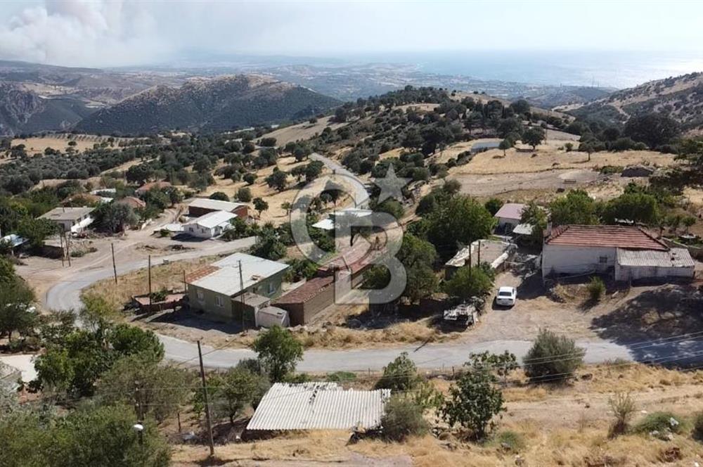 ACİL SATILIK AYVACIK KÖSEDERE'DE DENİZ MAZARALI KELEPİR ARSALAR