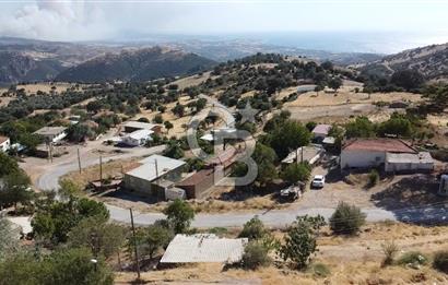 ACİL SATILIK AYVACIK KÖSEDERE'DE DENİZ MAZARALI KELEPİR ARSALAR