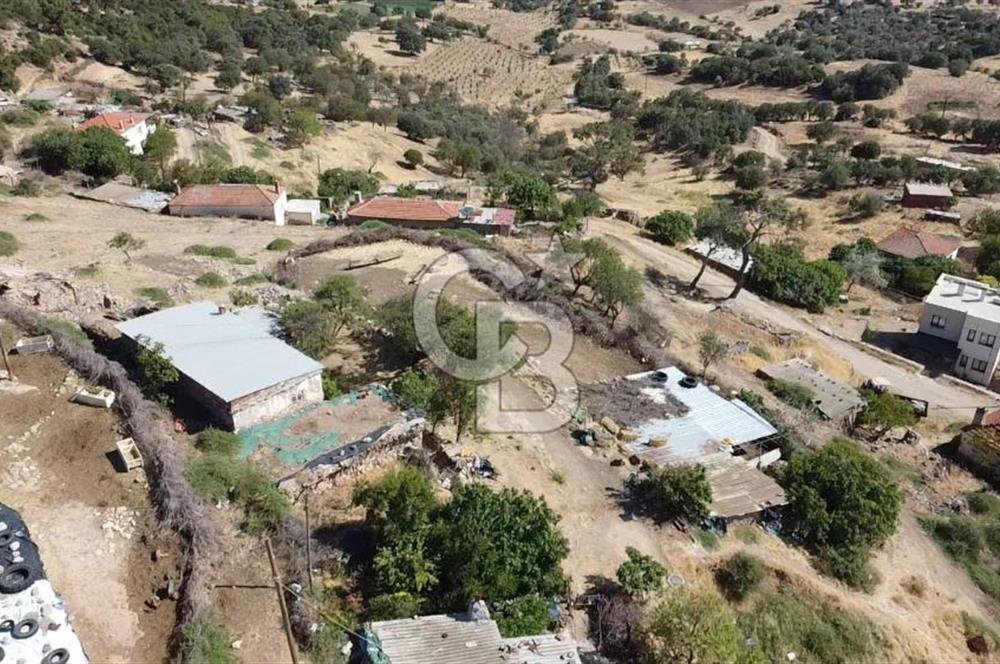 ACİL SATILIK AYVACIK KÖSEDERE'DE DENİZ MAZARALI KELEPİR ARSALAR