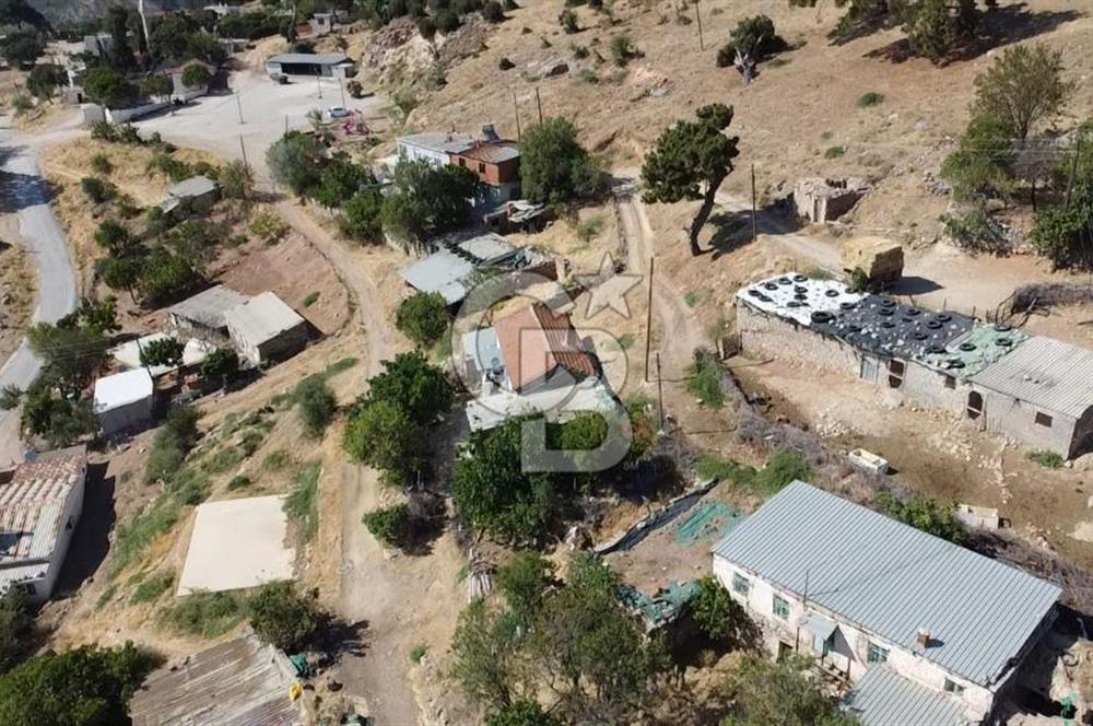 ACİL SATILIK AYVACIK KÖSEDERE'DE DENİZ MAZARALI KELEPİR ARSALAR