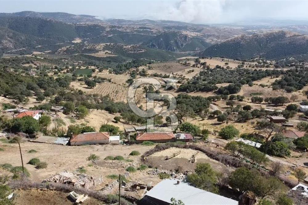 ACİL SATILIK AYVACIK KÖSEDERE'DE DENİZ MAZARALI KELEPİR ARSALAR