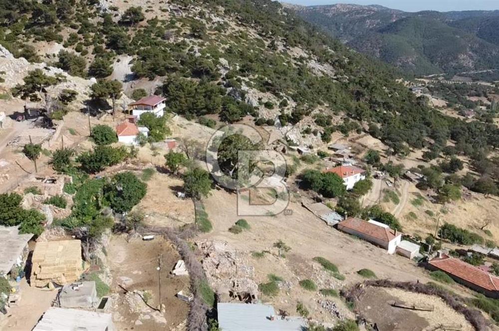ACİL SATILIK AYVACIK KÖSEDERE'DE DENİZ MAZARALI KELEPİR ARSALAR