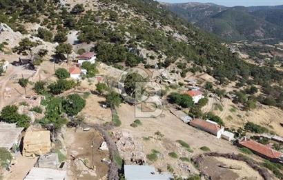ACİL SATILIK AYVACIK KÖSEDERE'DE DENİZ MAZARALI KELEPİR ARSALAR