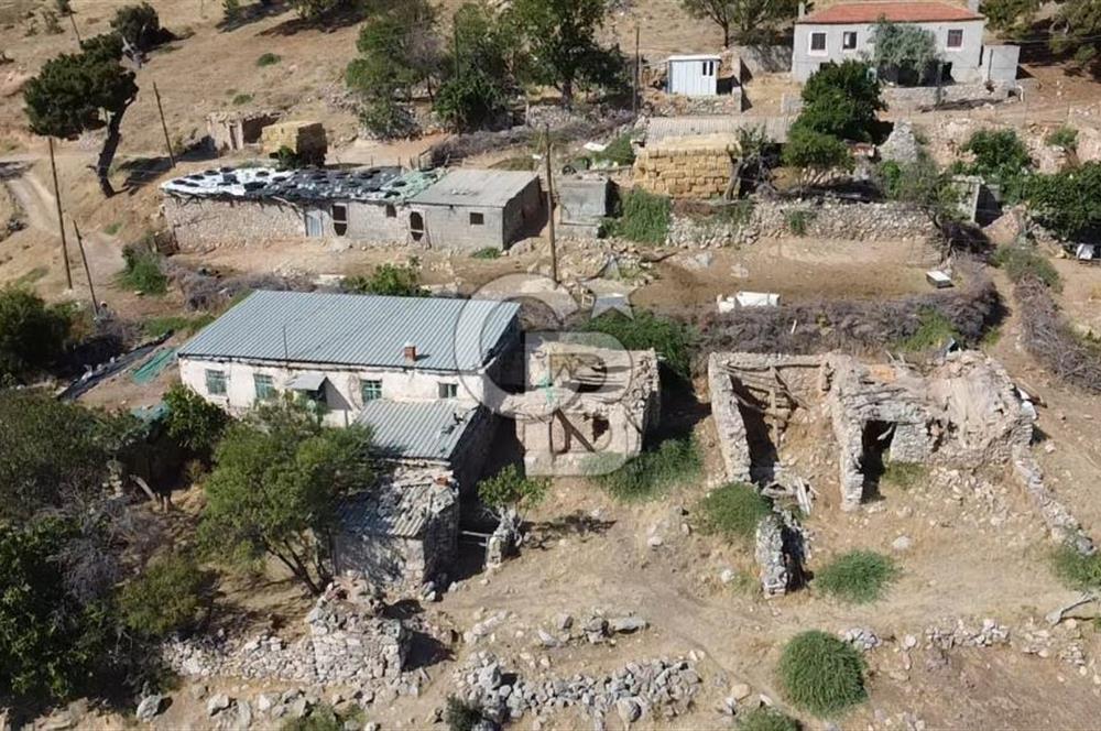 ACİL SATILIK AYVACIK KÖSEDERE'DE DENİZ MAZARALI KELEPİR ARSALAR