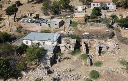 ACİL SATILIK AYVACIK KÖSEDERE'DE DENİZ MAZARALI KELEPİR ARSALAR