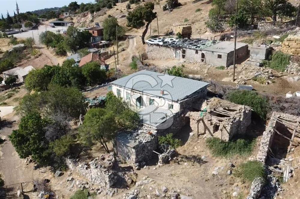 ACİL SATILIK AYVACIK KÖSEDERE'DE DENİZ MAZARALI KELEPİR ARSALAR