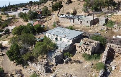 ACİL SATILIK AYVACIK KÖSEDERE'DE DENİZ MAZARALI KELEPİR ARSALAR